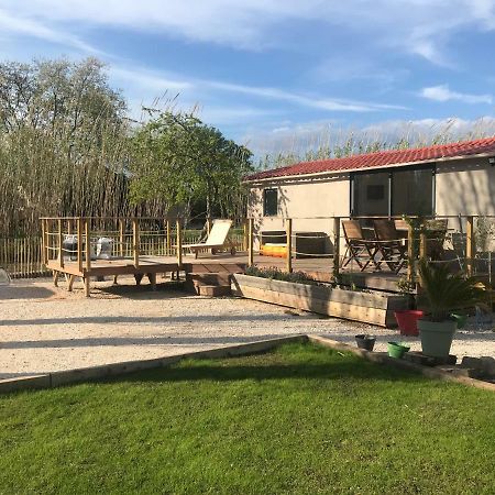 Tiny House Sur La Cote D'Azur Βίλα Ιέρ Εξωτερικό φωτογραφία